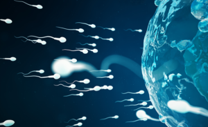 Prof. Ermanno Greco - Congelamento degli spermatozoi